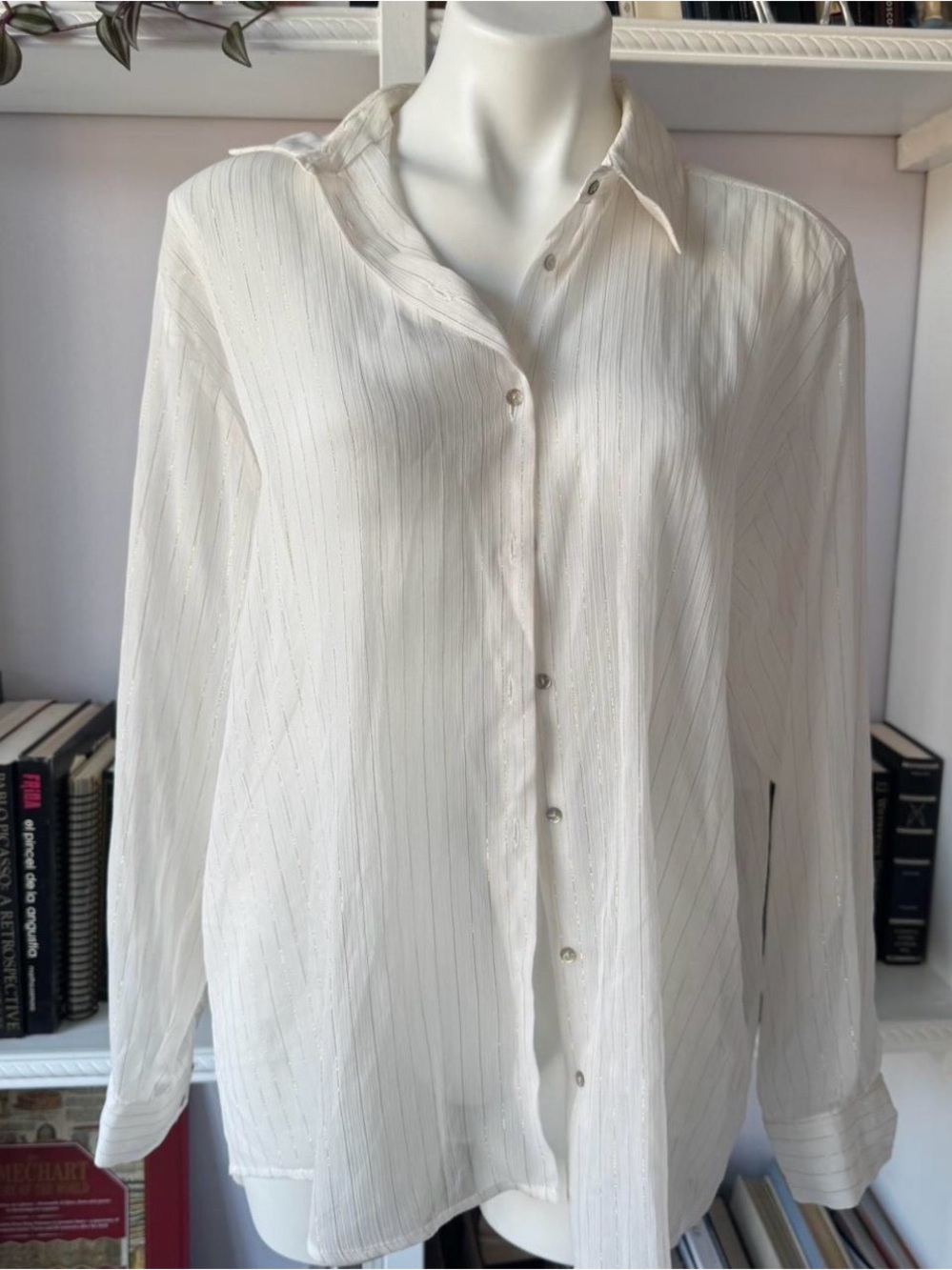 Zara Pinstripe Button-Down Blouse